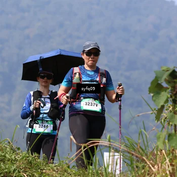 Runner Photo 5316248