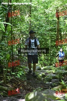 Runner Photo 531642