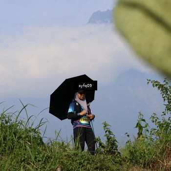 Runner Photo 5316475