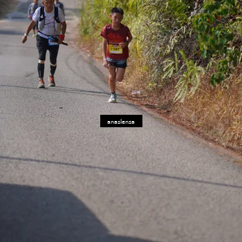 Runner Photo 5316539