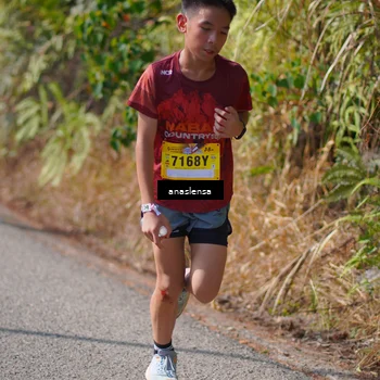 Runner Photo 5316596