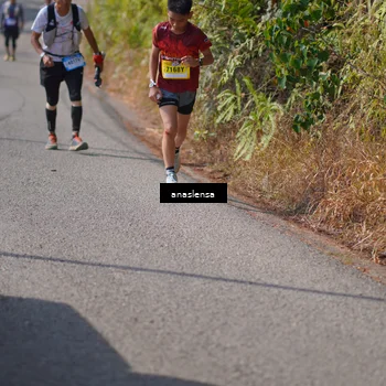 Runner Photo 5316612