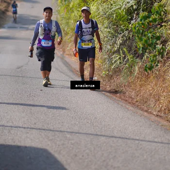 Runner Photo 5316673