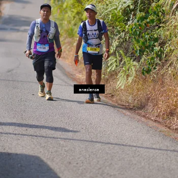 Runner Photo 5316699