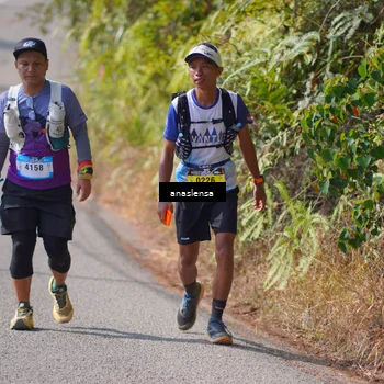 Runner Photo 5316759