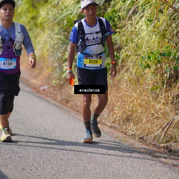 Runner Photo 5316766