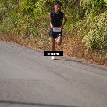 Runner Photo 5317000