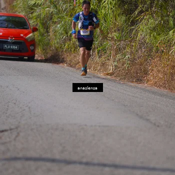 Runner Photo 5317105