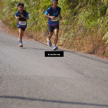 Runner Photo 5317176