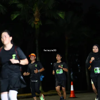 Runner Photo 5317191