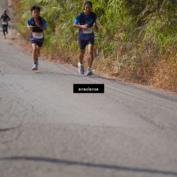 Runner Photo 5317194