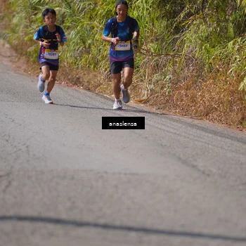 Runner Photo 5317200
