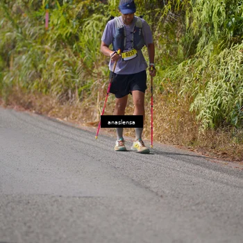 Runner Photo 5317231