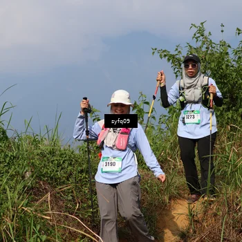 Runner Photo 5317296