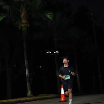 Runner Photo 5317355