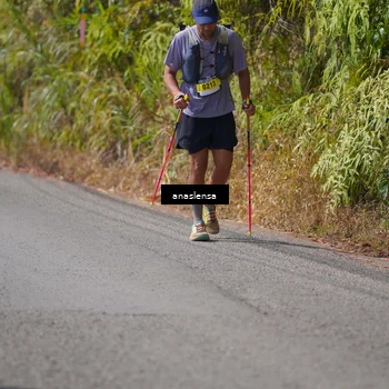 Runner Photo 5317363