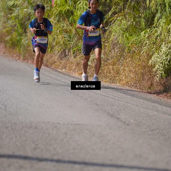 Runner Photo 5317369