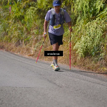 Runner Photo 5317381