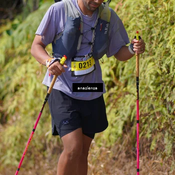 Runner Photo 5317433