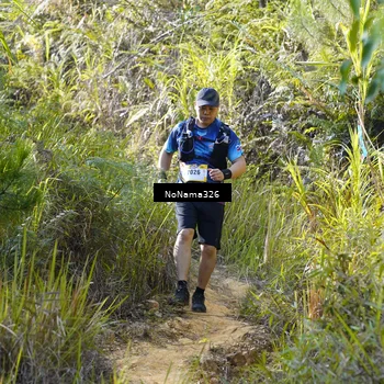 Runner Photo 5317531