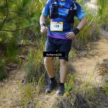 Runner Photo 5317570