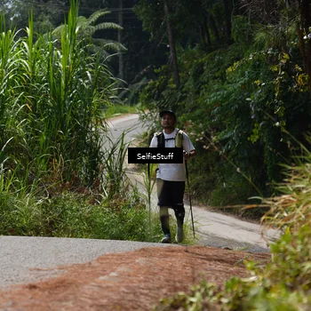 Runner Photo 5317607