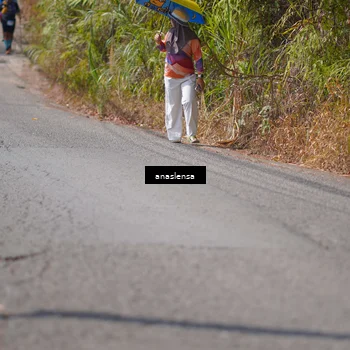 Runner Photo 5317689
