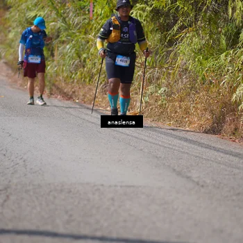 Runner Photo 5317692
