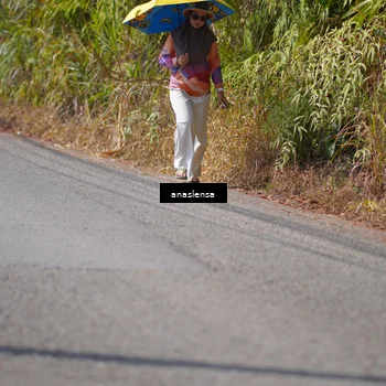 Runner Photo 5317796