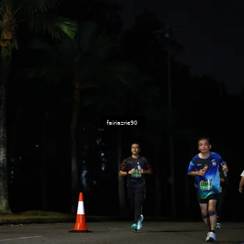 Runner Photo 5317931