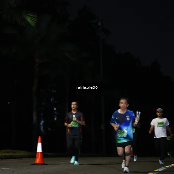 Runner Photo 5317934