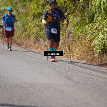 Runner Photo 5317954