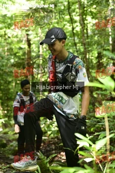 Runner Photo 531811