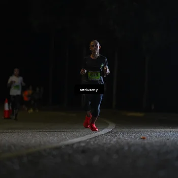 Runner Photo 5318745