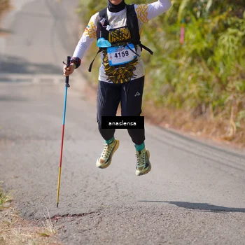 Runner Photo 5318952