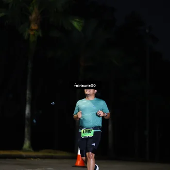 Runner Photo 5318985
