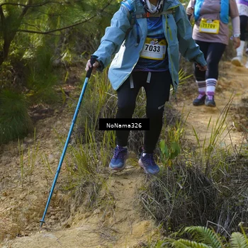 Runner Photo 5319153