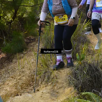 Runner Photo 5319212