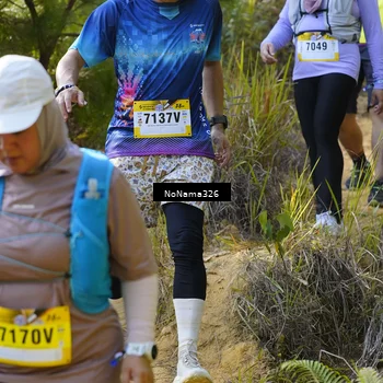 Runner Photo 5319242