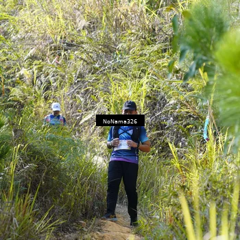 Runner Photo 5319475