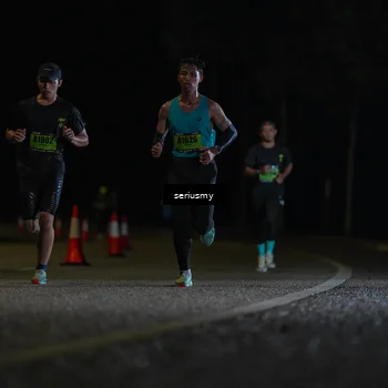 Runner Photo 5319887