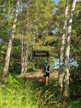 Runner Photo 5320