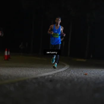Runner Photo 5320041