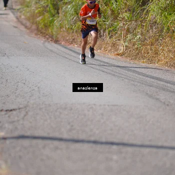 Runner Photo 5320162