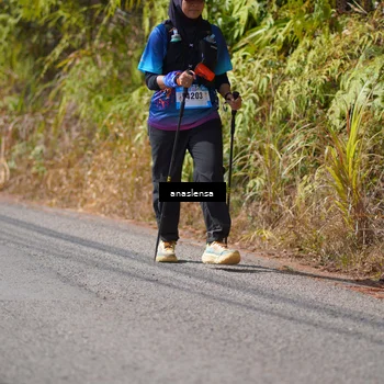 Runner Photo 5320256