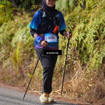 Runner Photo 5320273