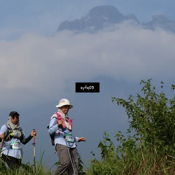 Runner Photo 5320495