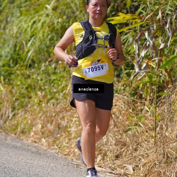 Runner Photo 5320647