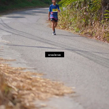 Runner Photo 5320834