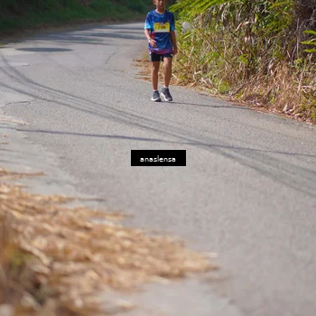 Runner Photo 5320842